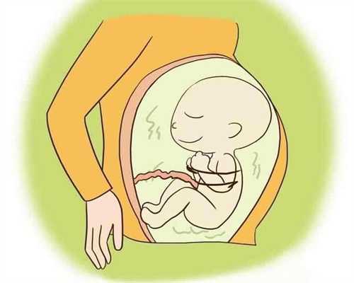 2024年中国单身未婚男性可以申请卵子做试管婴儿吗？